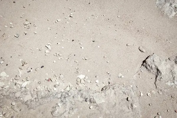 自然を背景に海の近くに美しい砂 ストックフォト