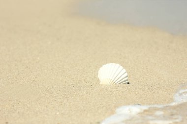 Beautiful sea and sand on the shore vacation travel background