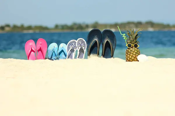 海边的菠萝 带着运动鞋 带着海岸的自然背景 免版税图库图片