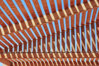 Şık güzel deniz şemsiyesi arka plan