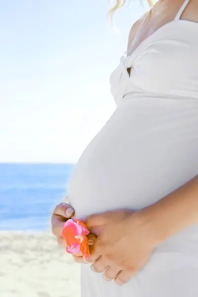 Happy Beautiful Pregnant Woman Sea Summer Nature Stock Image
