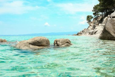 Parktaki arka planda deniz kenarında güzel bir doğa.