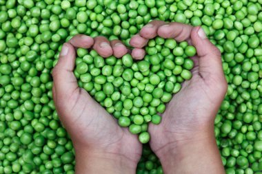 Bahçe arka planında doğada taze bezelyeler