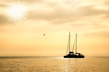 beautiful yacht sailing in the sea silhouette background