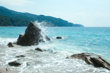 Beach near the sea in nature recreation vacation journey background