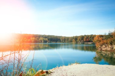 Yolculuk için güzel bir sonbahar yolu