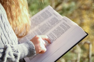 Park seyahatinde doğa eğitimi üzerine kitap okuyan mutlu çocuk.
