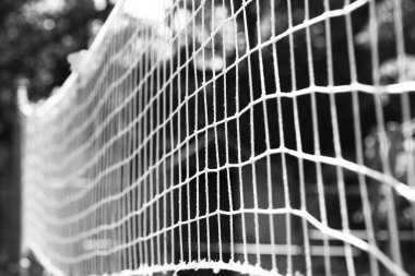 net voleybol arka plan spor eğlence oyunu