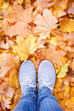 Ayaklar sonbaharda yaprakların arka planında bir arka planda