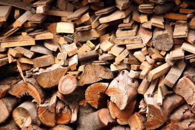 Ormanın doğası üzerine bir parkta şık bir arka plan.