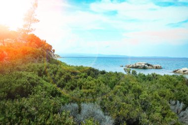 Parktaki arka planda deniz kenarında güzel bir doğa.