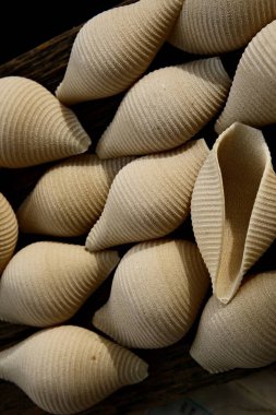 İtalyan makarnası. İtalyan makarnalı bir kompozisyon. Yakın plan..