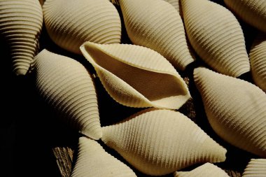 İtalyan makarnası. İtalyan makarnalı bir kompozisyon. Yakın plan..