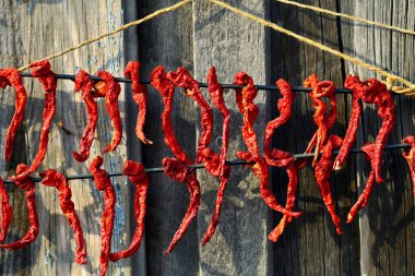 Kırmızı biber. Kore ailelerinde, kırmızı biber ulusal salata yapmak için sonbaharda kurutulur..