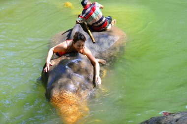 Dağ nehrinde fillerle yüzen mutlu turistlerin güzel manzarası. Koh-Chang Adası, Tayland. 06.01.2014.