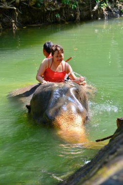 Dağ nehrinde fillerle yüzen mutlu turistlerin güzel manzarası. Koh-Chang Adası, Tayland. 06.01.2014.