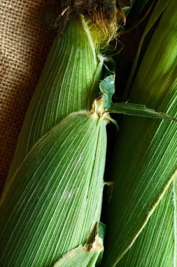 Yeşil mısır koçanları olan güzel bir kompozisyon. Makro.