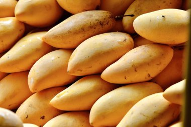 Satılık Tayland mangoları tezgahın üzerine bırakılmış..