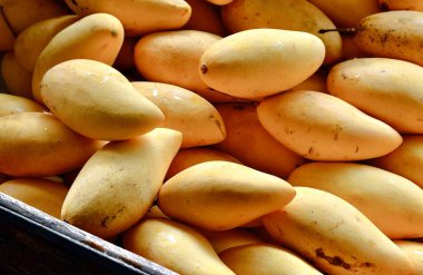 Satılık Tayland mangoları tezgahın üzerine bırakılmış..