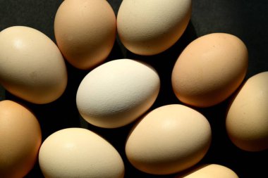 Renkli çiftlik yumurtaları. Yumurtaların soyut sanat kompozisyonu.