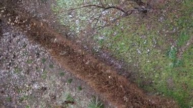 Kış manzarası. İlk kar, bahçede kar, soğuk hava, ağaçlar, çevre..