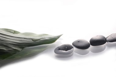 Yeşil yapraklı suda zen taşları ve metin için kopyalama alanı