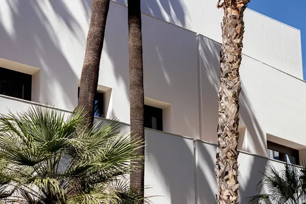 white exterior wall of Picasso museum building in Malaga, Spain