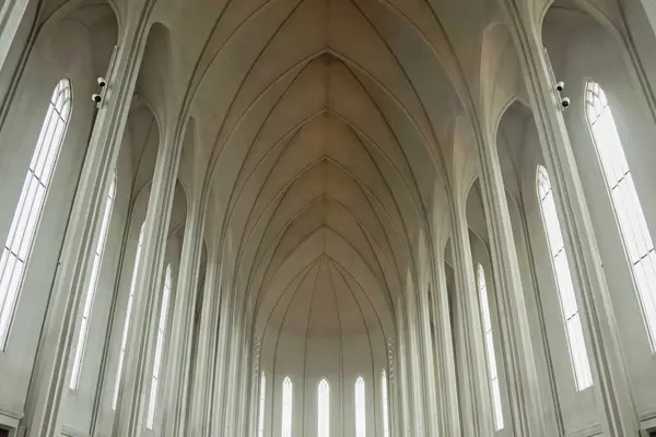 アイスランドのホリグリムスカルジャ教会のインテリアファサード ロイヤリティフリーのストック写真