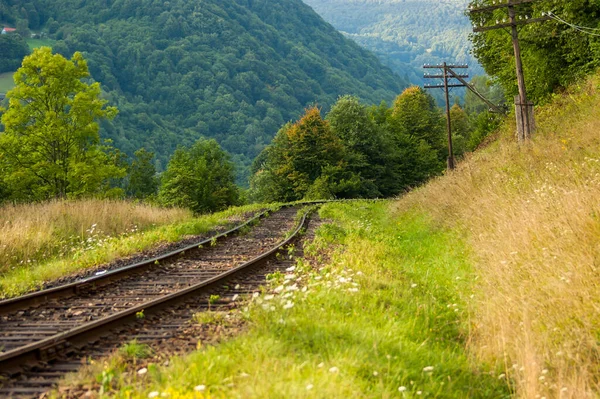 Old railway in mountains at summer