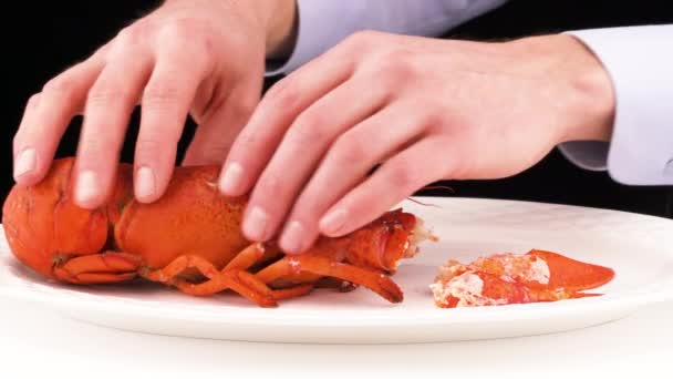 Man Hands Separate Lobster Tail Body Isolated Black Background — Stok video
