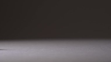 Close-up of a spider moving from left to right side on the frame. Isolated on the grey background.