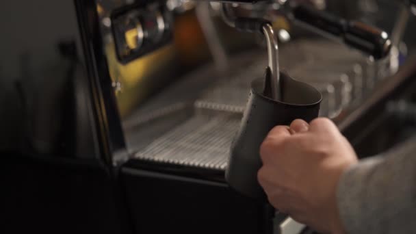 Side View Hand Holding Jug Milk Steam Wand Heating Coffee — Vídeo de Stock