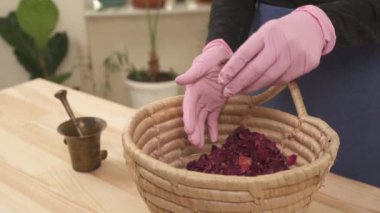 A girl in pink gloves sorts out dried rose petals. The basket is full of dried flowers. The process of creating natural handmade cosmetics.