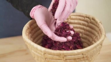 Close-up view, a girl carefully sorts dried rose petals in basket.