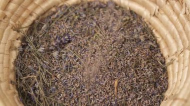 A close-up view of a wicker basket filling by dried lavender flowers on the blurred background.