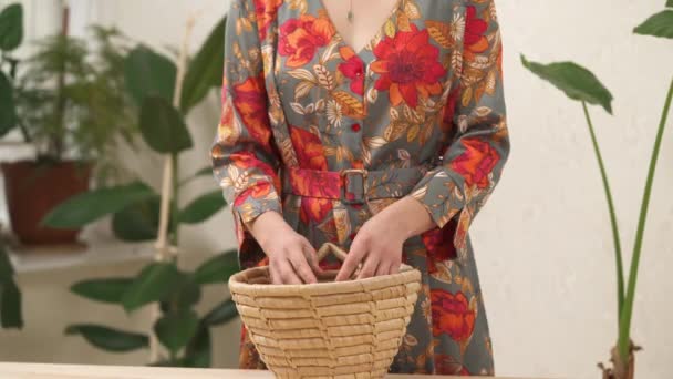 View Woman Touching Twisting Palms Dried Lavender Flowers Wicker Basket — Vídeos de Stock