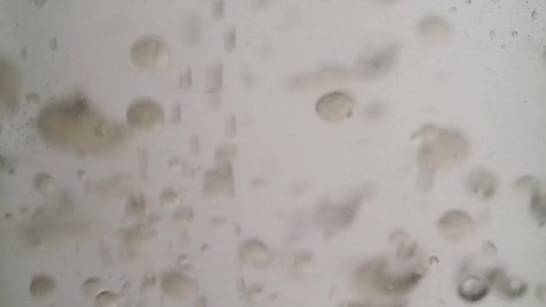 High Quality Render Oil Bubbles Rising Water Background Animation — Stockvideo