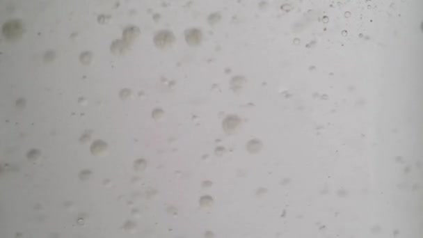 ภาพเคล อนไหวพ นหล ณภาพส งของฟองน นในน ใกล ดของ Pipette ในของเหลวส — วีดีโอสต็อก