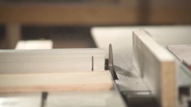 A front view of a table circular saw cutting a plywood board at a right angle