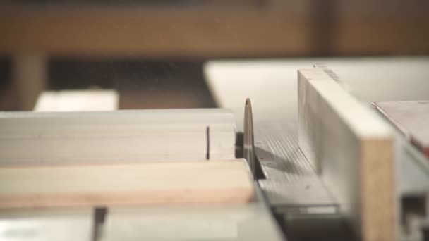直角圆锯切割胶合板的桌子圆锯的前视图 — 图库视频影像