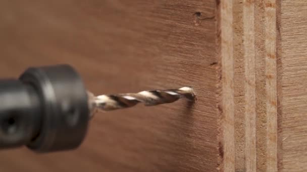 Close Electric Screwdriver Making Hole Plywood Board — Vídeos de Stock