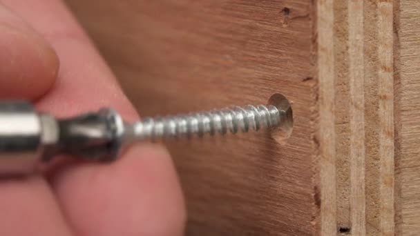 用电动螺丝刀把螺丝钉在胶合板上的特写 — 图库视频影像