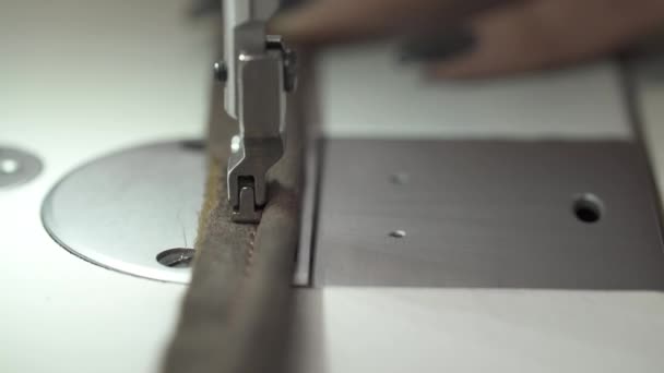 縫製機で家具張りの要素を製造しているデザイナーのクローズアップショット 家具製造コンセプト — ストック動画