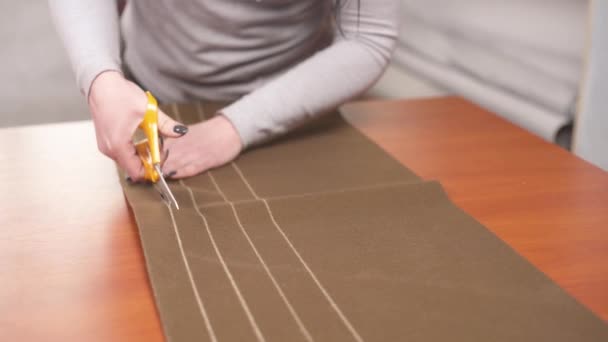 Designer Cutting Stripe Brown Material Professional Scissors According Pattern — Wideo stockowe