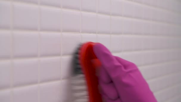 Close Woman Hand Pink Glove Cleaning White Tile Brush — Stock videók