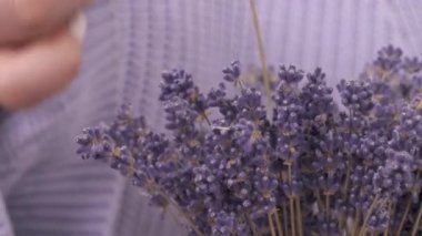 A demonstration close-up video of woman's hand putting a lavender inflorescences into a bouquet of dried lavender flowers
