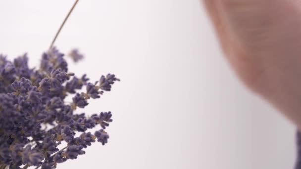 Right Left Shot Woman Hand Putting Lavender Inflorescences Bouquet Dried — 图库视频影像