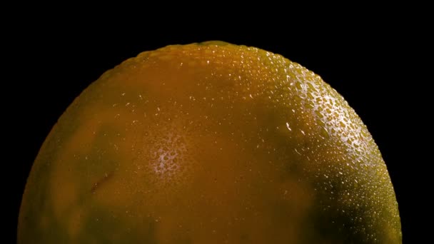 Macro Ripresa Solanum Quitoense Naranjilla Frutto Ruotante Sul Giradischi Vista — Video Stock