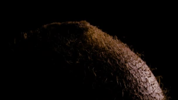 Macro Shooting Whole Kiwifruit Rotating Turntable Close View Fibrous Hairy — Stock Video