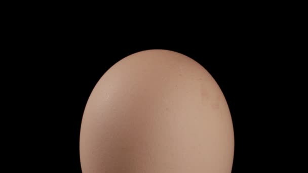 全褐色蛋在旋转的表面上黑色背景 直立的位置 — 图库视频影像